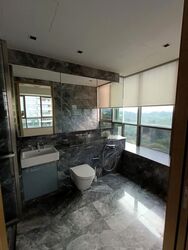 Skyline Residences (D4), Condominium #570637331